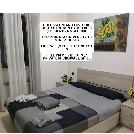 Deluxe - Close To Metro C Torrenova Station Homestay